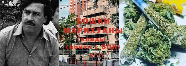 apvp Алексин