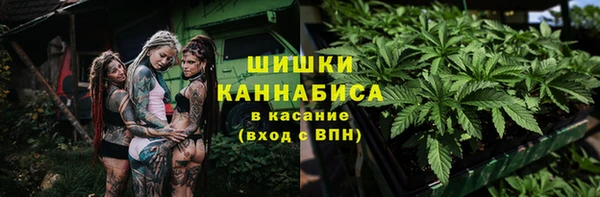 ПСИЛОЦИБИНОВЫЕ ГРИБЫ Нязепетровск