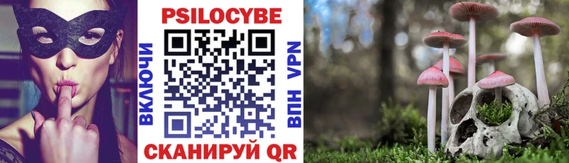 нарко площадка как зайти купить наркоту Цимлянск Галлюциногенные грибы Psilocybe
